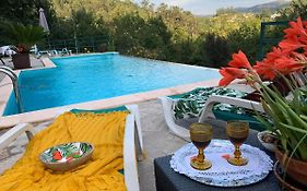 Quinta Paraíso do Ermal